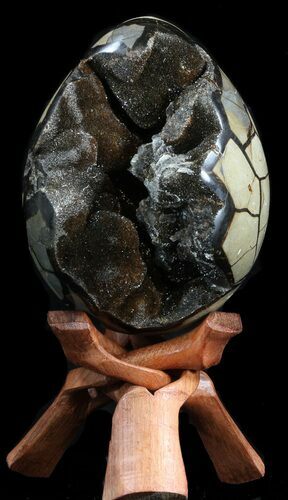 Septarian Dragon Egg Geode - Black Crystals #40938